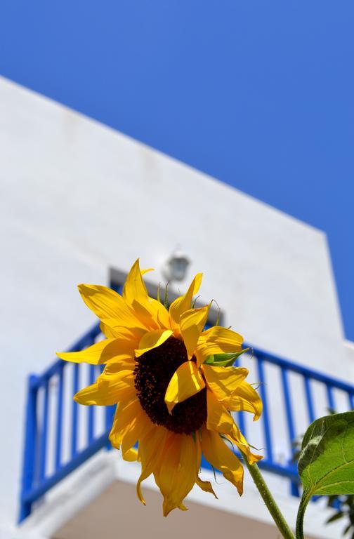 Hotel Bilia Naousa  Exterior foto